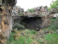 otta Intraleo-20100515 051
